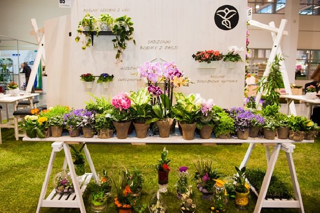 17.10_wystawa_4.jpgnorm