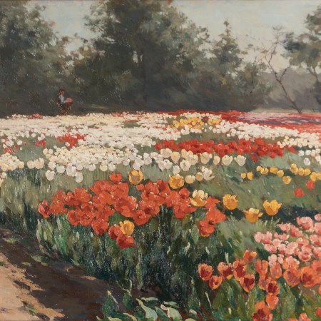 Flower bulbs fields painters book The Netherlands