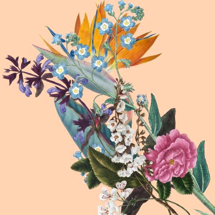 botanical-women-flowers-exhibition-chawton