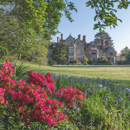 rhododendron-hinode-giri-red-azaleas-in-a-spring-garden-credit-merrell-publishers