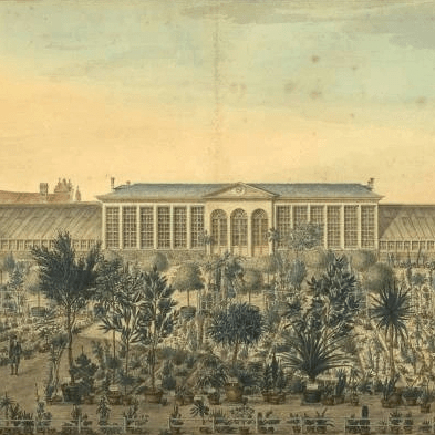 View of the orangery and systematic collections of the botanical garden of Ghent. Watercolor JB De Noter 1815 credit University Library Ghent