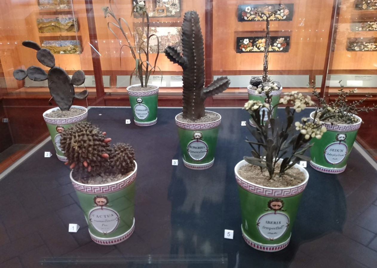 置物  scope Art Flora Flowers, leaves and thorns. Botanical wax models from the Specola