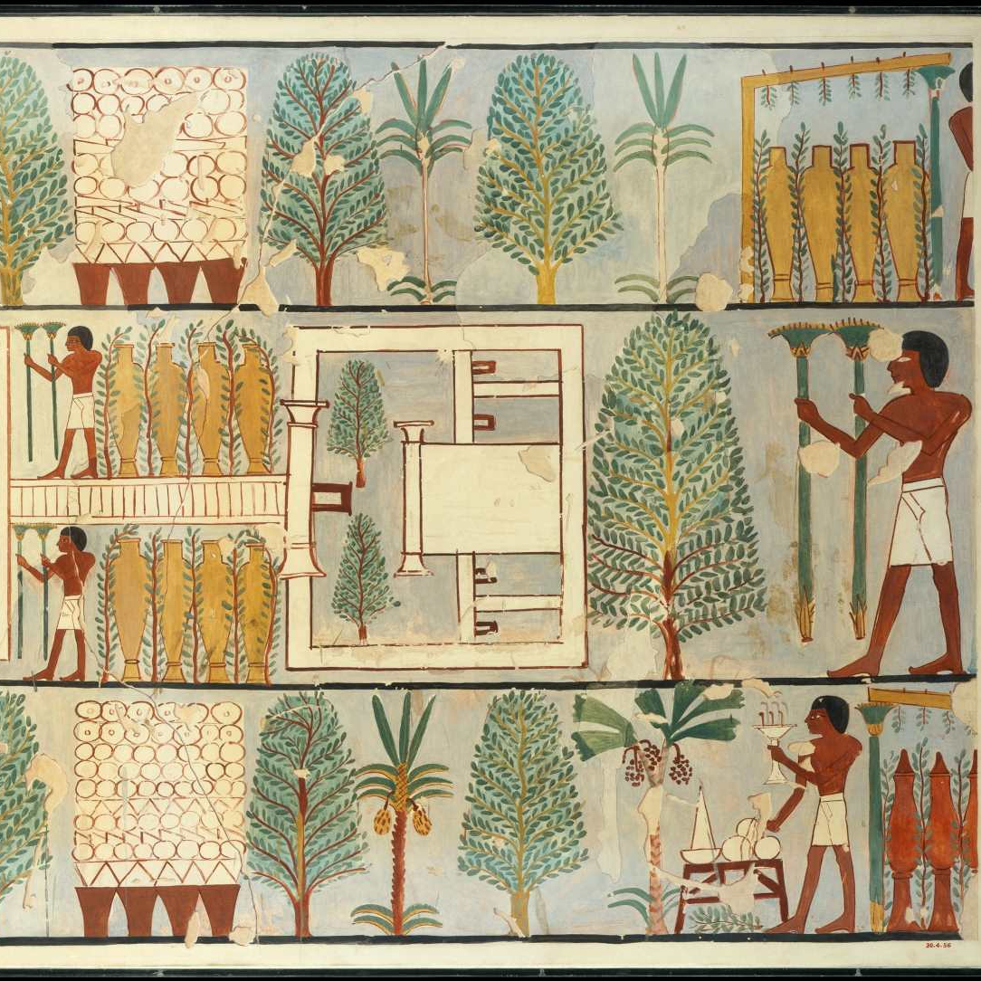 From Pharaohs to Flowers: exploring the enchanting gardens of Ancient ...
