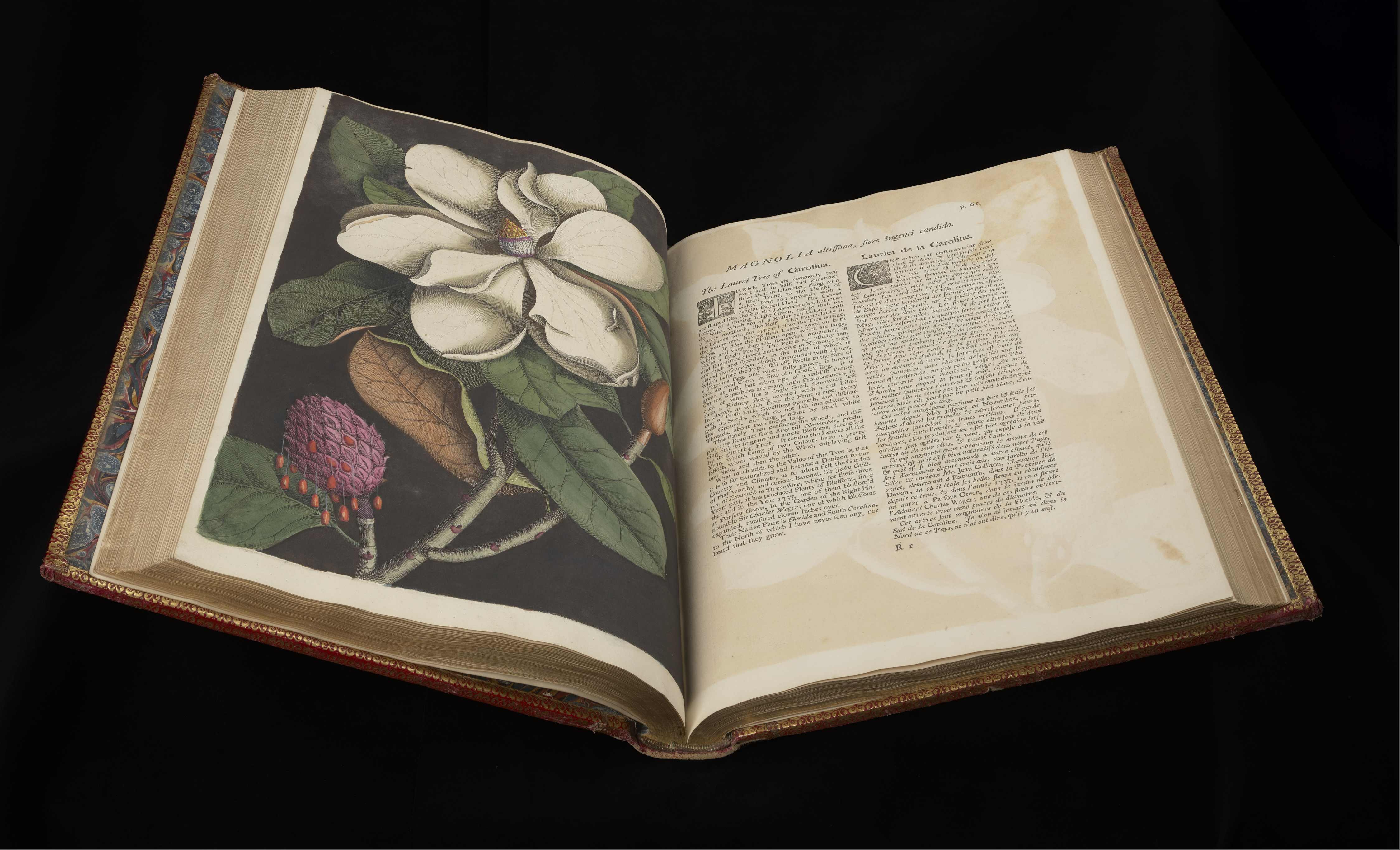 1731 First Library From seed to statement: The British Library’s new exhibition on the ...