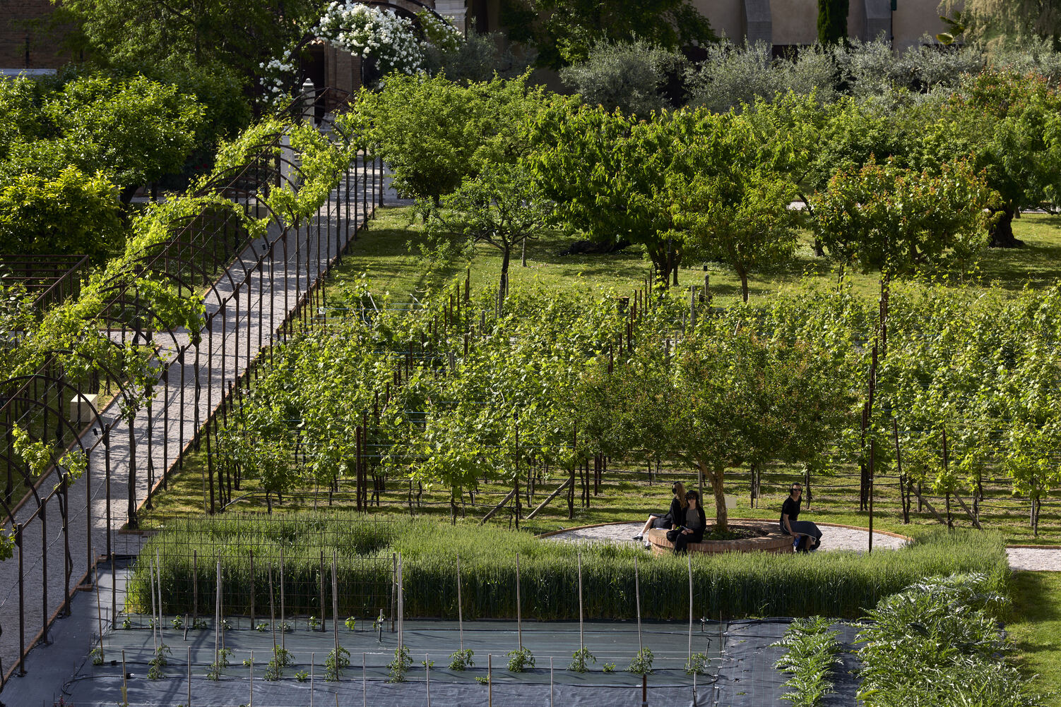 Saint Hildegard reimagined in the mystic garden at the Holy See